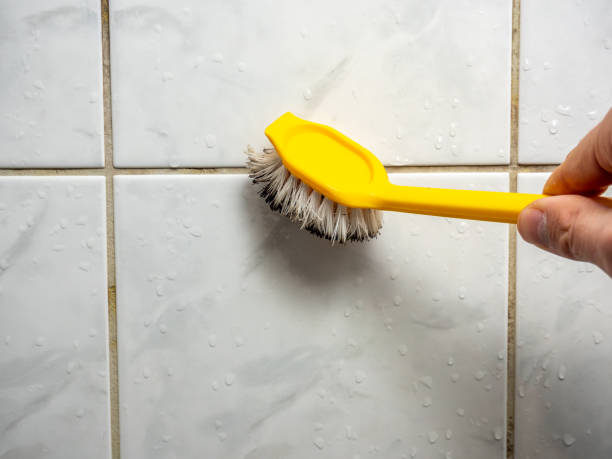 Best Mold Removal Near Me  in Seagraves, TX