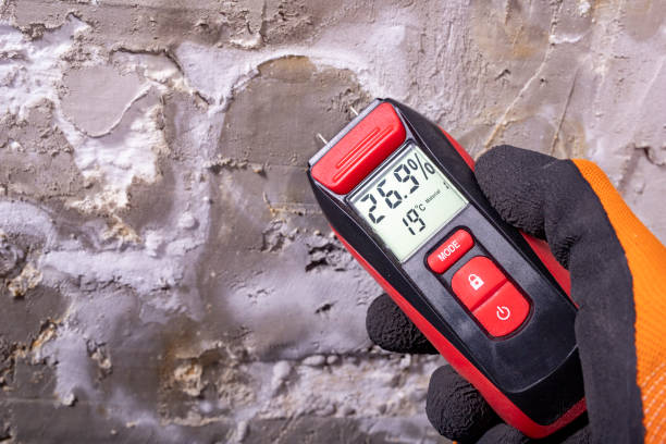 Best Mold Damage Repair  in Seagraves, TX