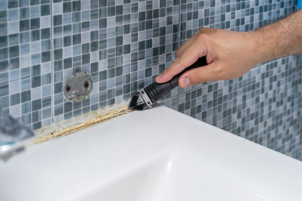 Best Fast Mold Removal  in Seagraves, TX