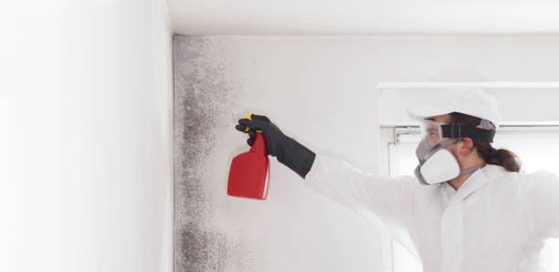 Best Crawl Space Mold Removal  in Seagraves, TX