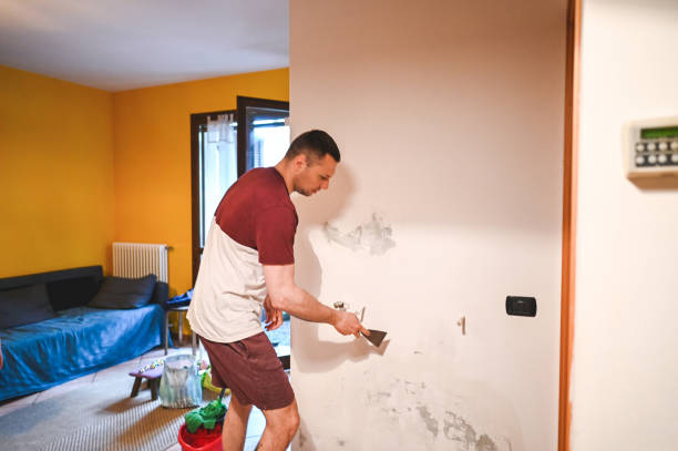 Best Local Mold Removal Service  in Seagraves, TX